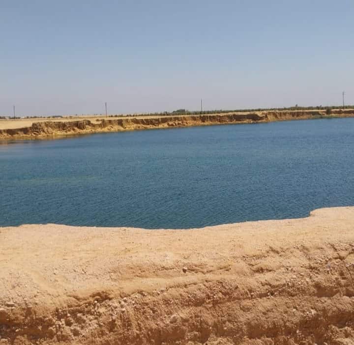 بحيرة البهنسا.. الصورة من سلامة زهران، مدير آثار بهنسا