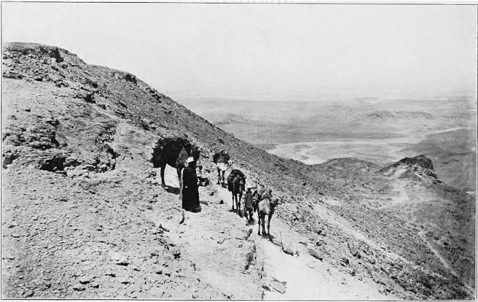 وصول قوافل التعمير إلى الوادي الجديد عام 1959.. الصورة بإذن من ديوان عام المحافظة