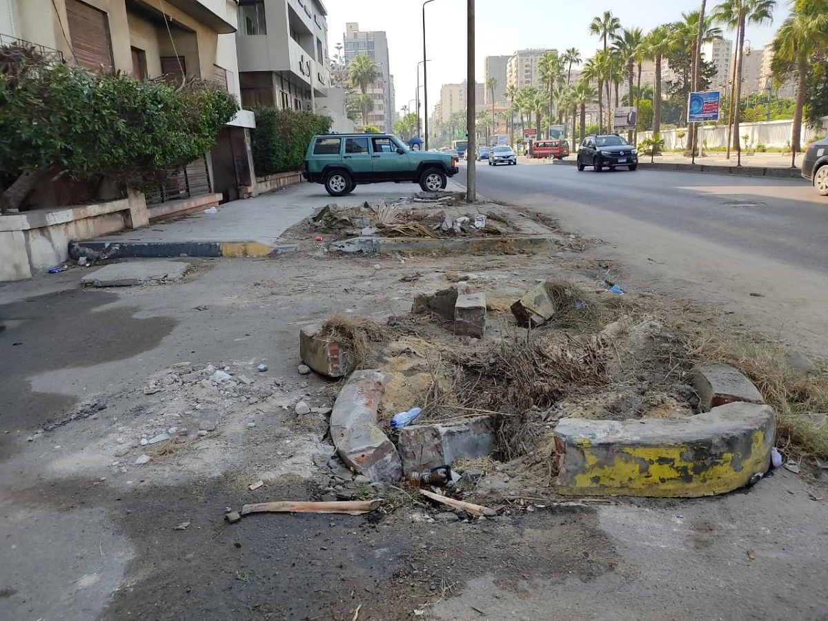آثار قطع النخيل في منطقة سيدي جابر - أبوقير.. تصوير: دعاء عبدالحميد