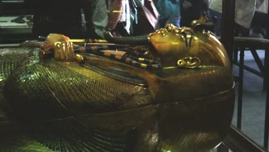 تابوت توت عنخ آمون المصدر عمل خاص مشاع إبداعي.. المؤلف جيرزي سترزيليكي