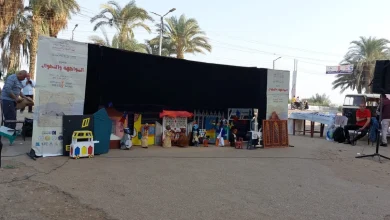 جانب من عرض الليلة الكبيرة.. تصوير: أسماء منتصر