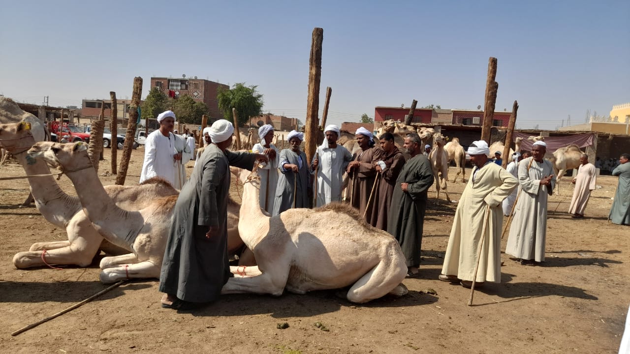 البيع والشراء بداخل سوق الجمال - تصوير: محمد الأسواني