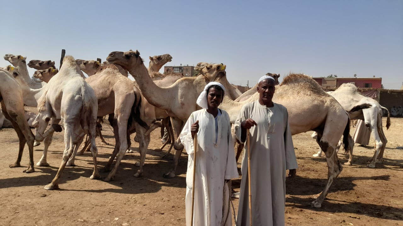 من داخل سوق الجمال في أسوان - تصوير: محمد الأسواني