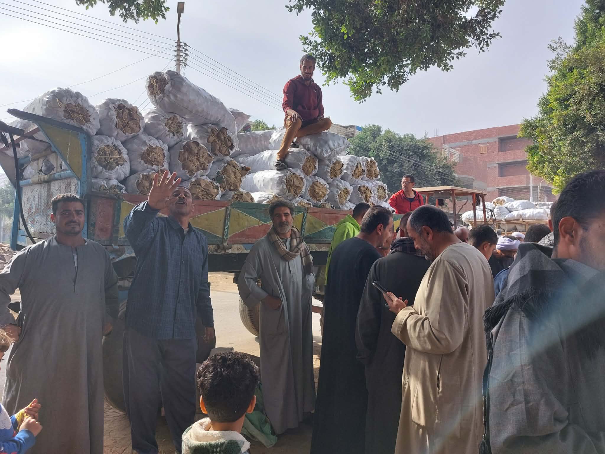 تعبئة البطاطس.. تصوير: أسماء منتصر