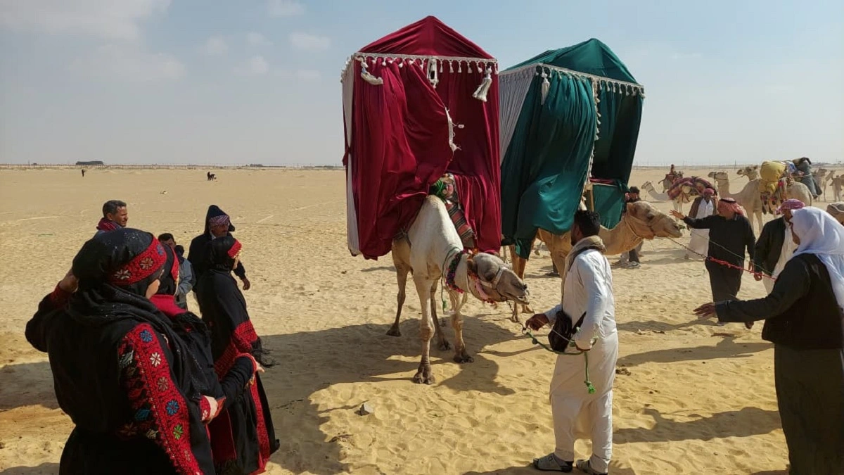 الهودج وأفراح البادية.. تصوير: هدير محمود