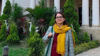 د.ليندا هيريرا، أستاذة سياسات وتنظيم وقيادة التعليم بجامعة إلينوي في أوربانا-شامبين.. الصورة من د.ليندا