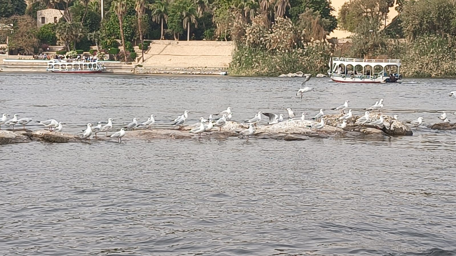 86f3397e 3041 42d9 9dbd 4d51eaa493ef