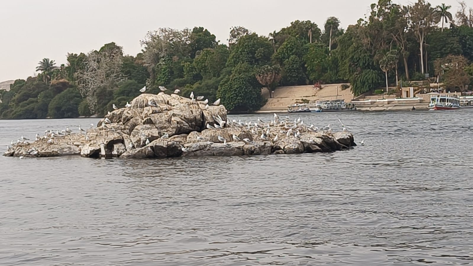 874ae4df 35f9 43f9 934d 4a86a4930b7a