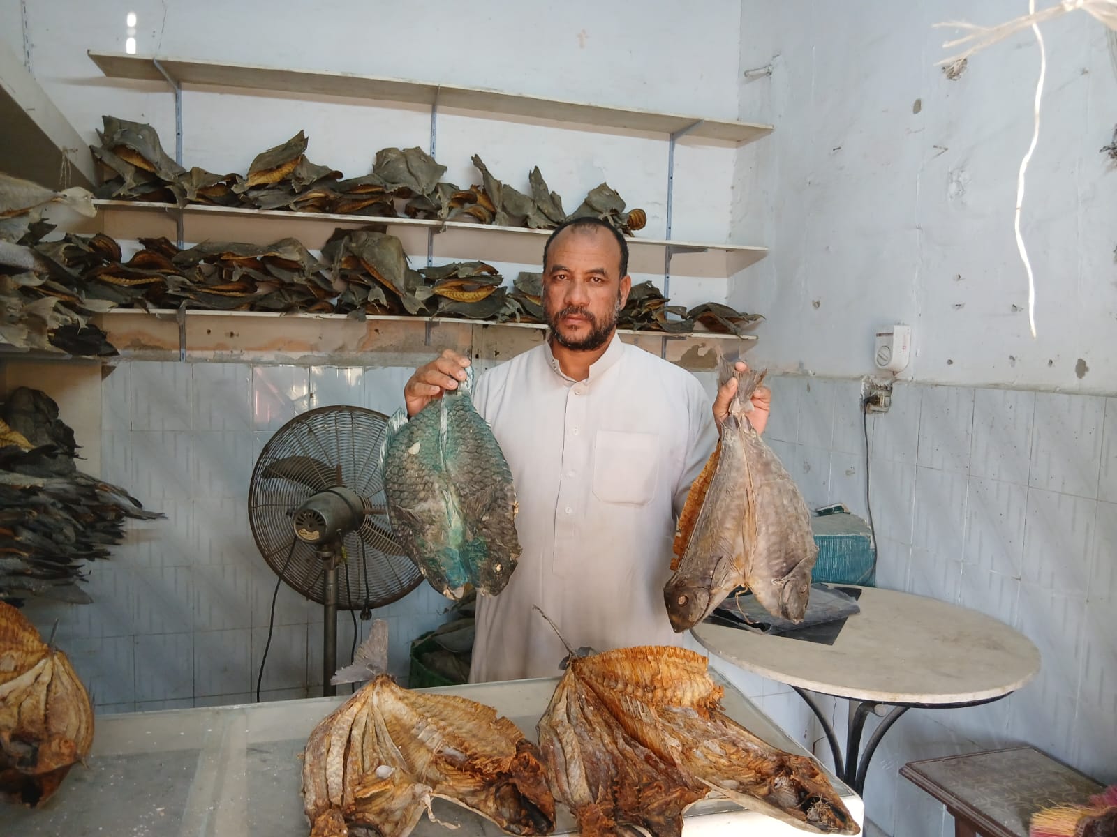 مراحل تجفيف السمك بالقصير خلال موسم السمك المجفف