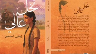 غلاف الرواية