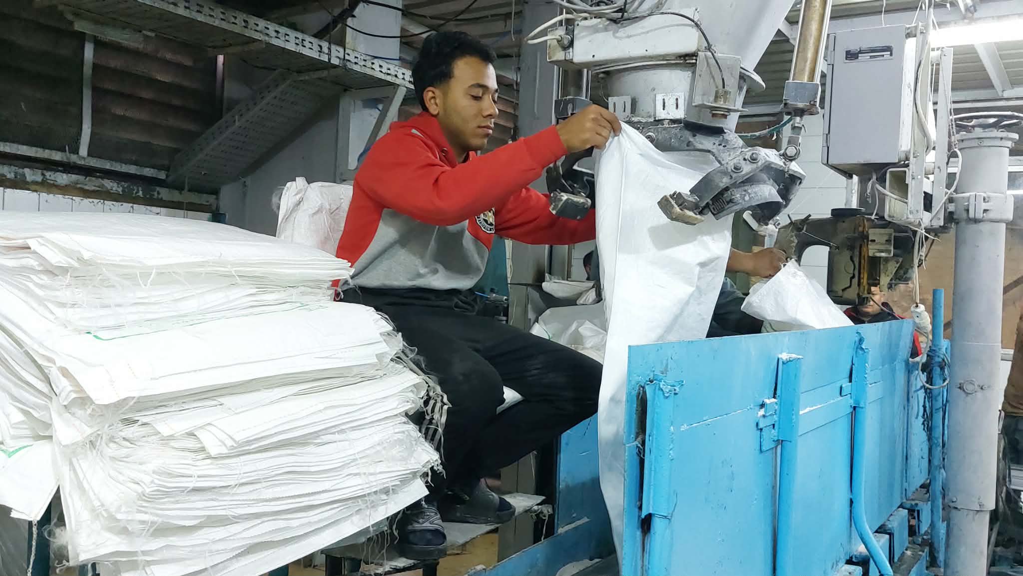 تعبئة السكر.. تصوير: أسماء منتصر