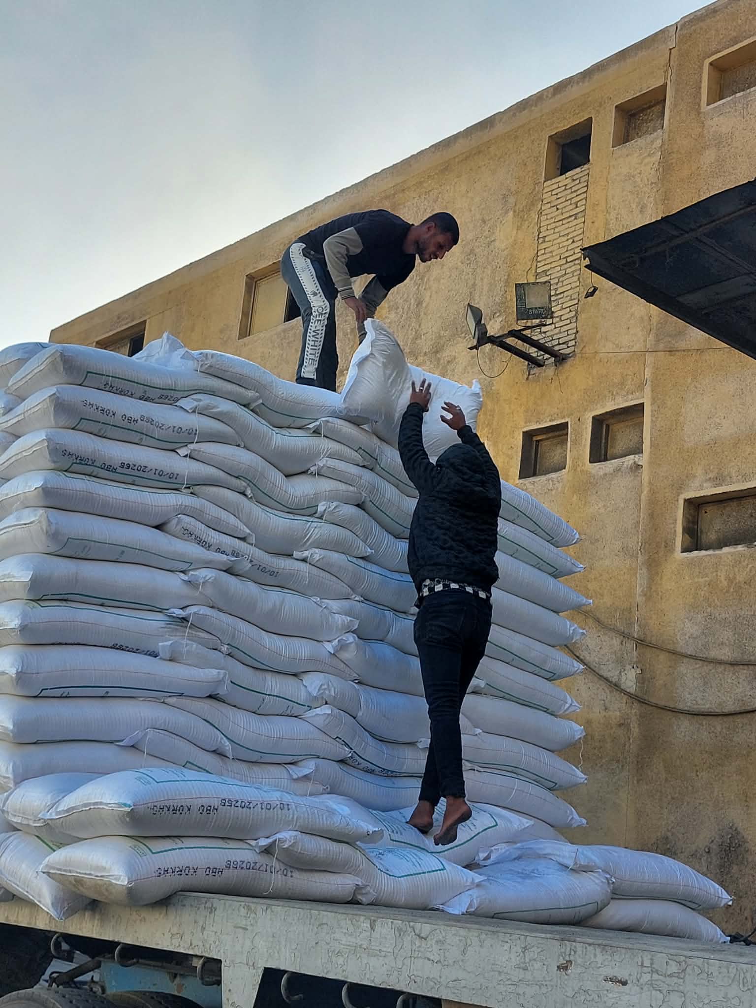 عمال مصنع سكر أبوقرقاص.. تصوير: أسماء منتصر