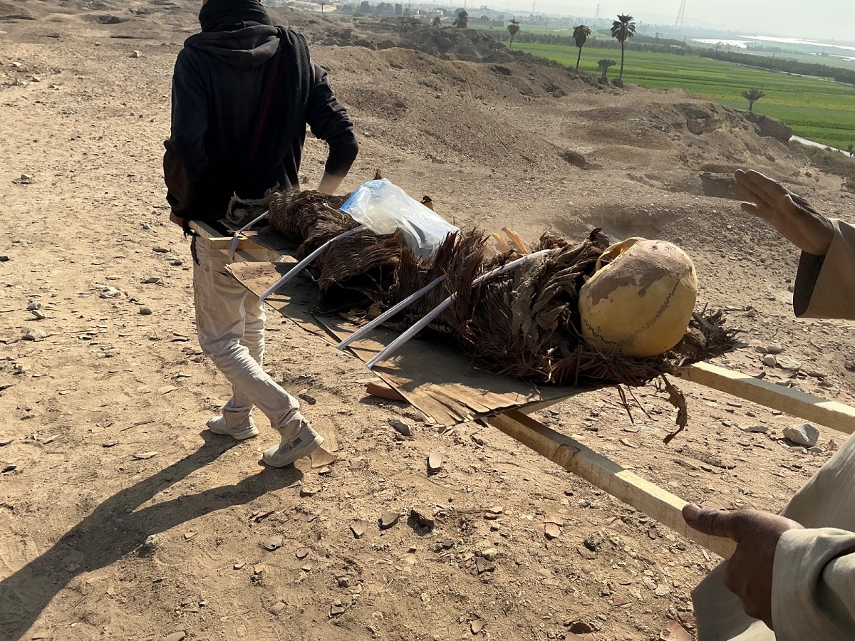 جانب من عمليات نقل وتجميع البقايا العظيمة.. الصورة من د. زينب حشيش