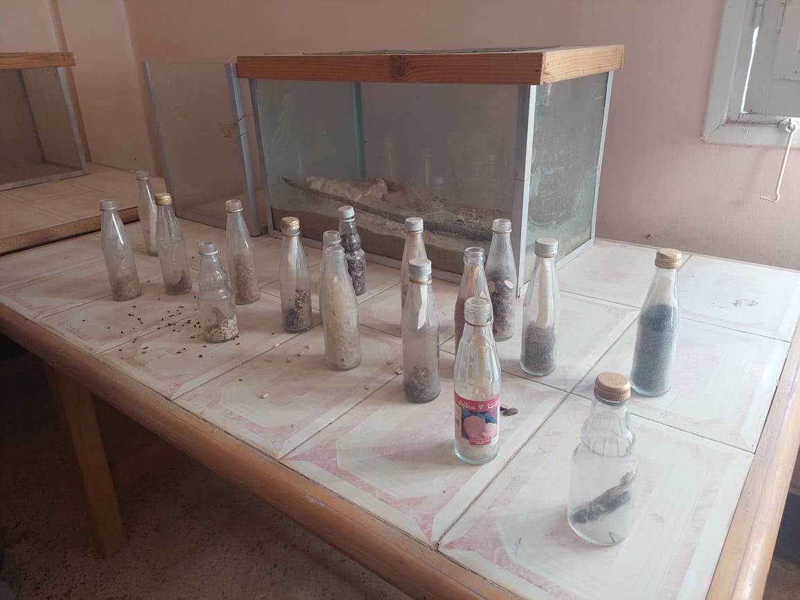 بذور نباتات بمتحف التحنيط..تصوير جاسمين مهني