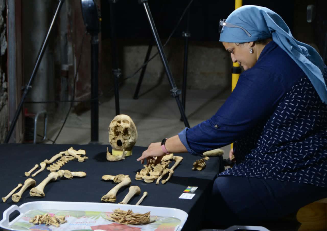 د. زينب حشيش.. الصورة من المصدر