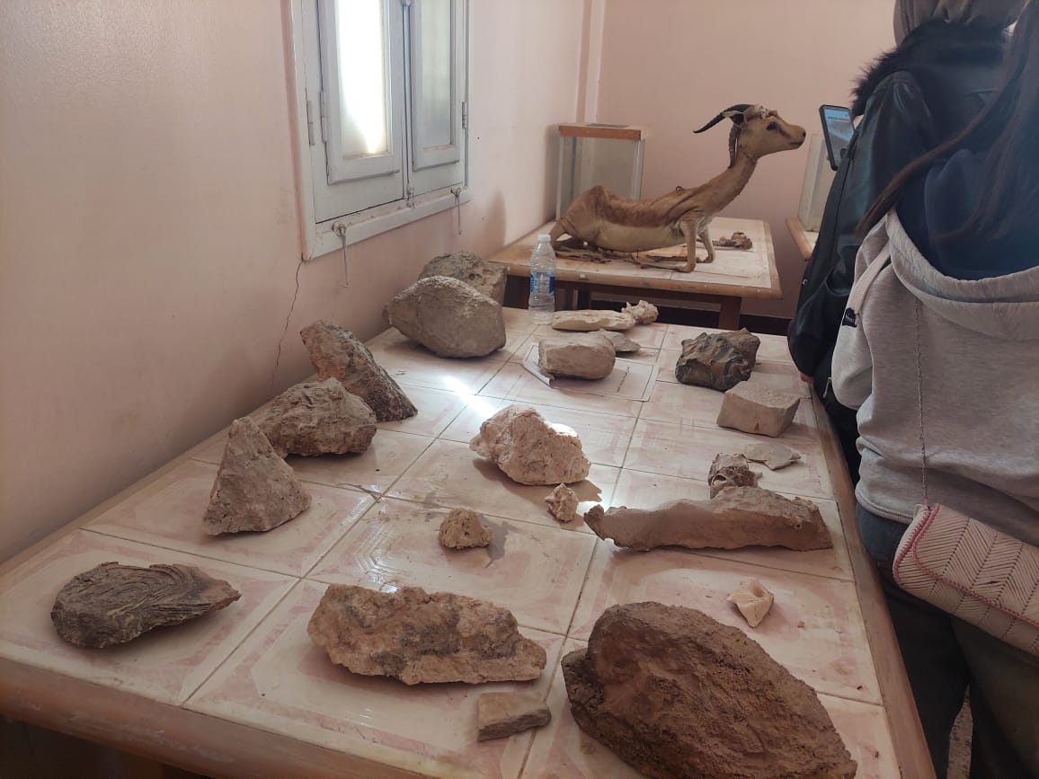 صخور معروضة بمتحف التحنيط..تصوير جاسمين مهني