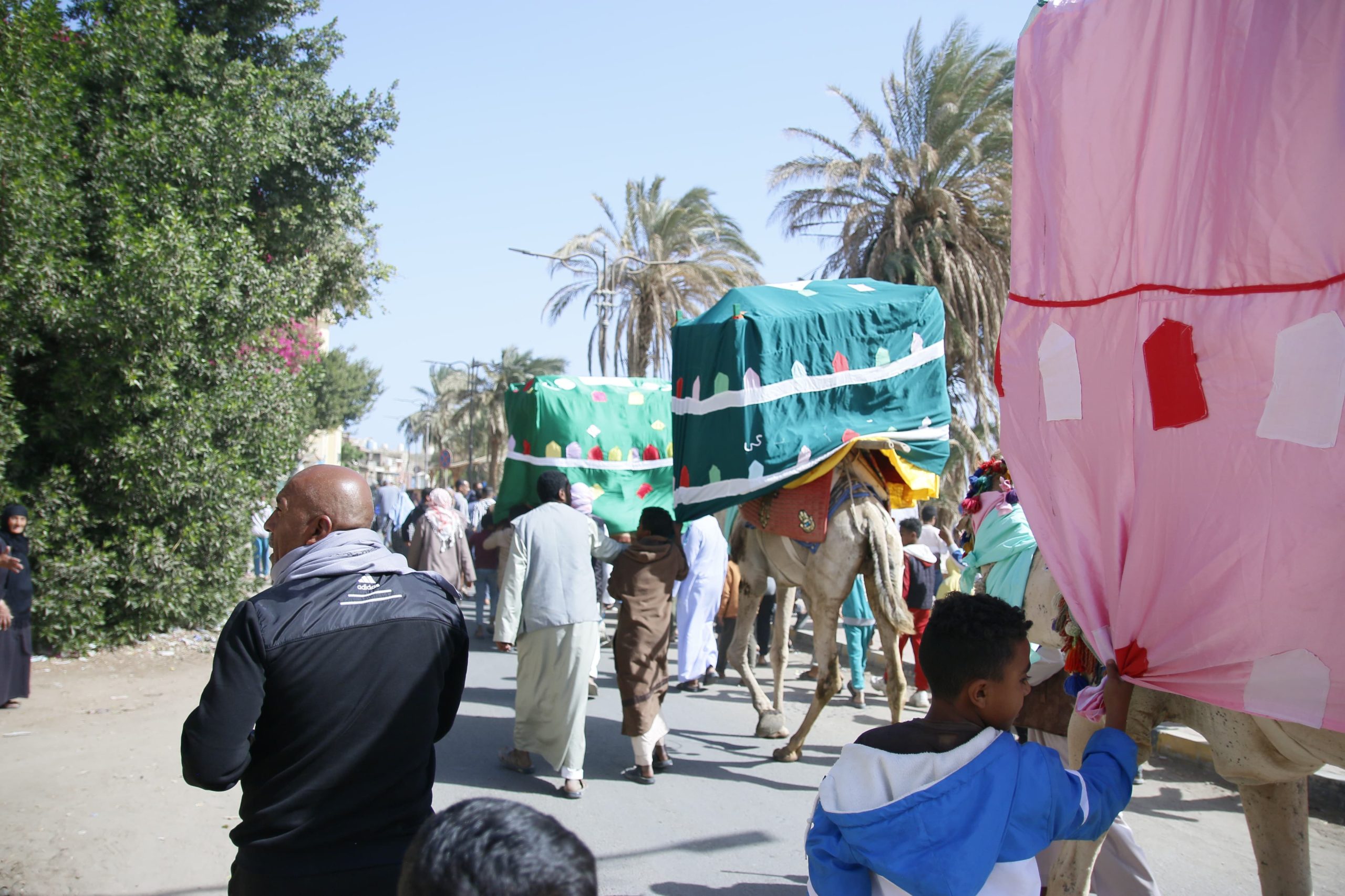 موكب المحمل في شوارع مدينه القصير بالبحر الاحمر