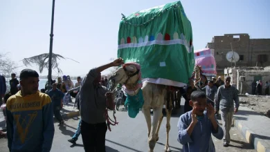 موكب المحمل بالقصير.. تصوير: أبو الحسن عبدالستار