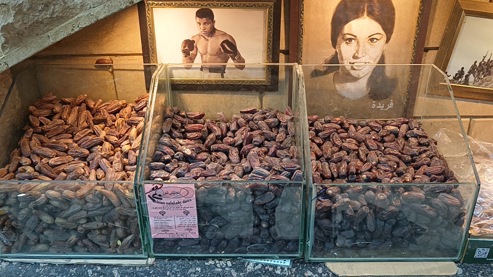 WhatsApp Image 2026 02 08 at 10.16.27 PM (1)