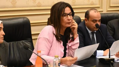 الدكتورة جيهان زكي وزيرة الثقافة الجديدة.. مصادر مفتوحة