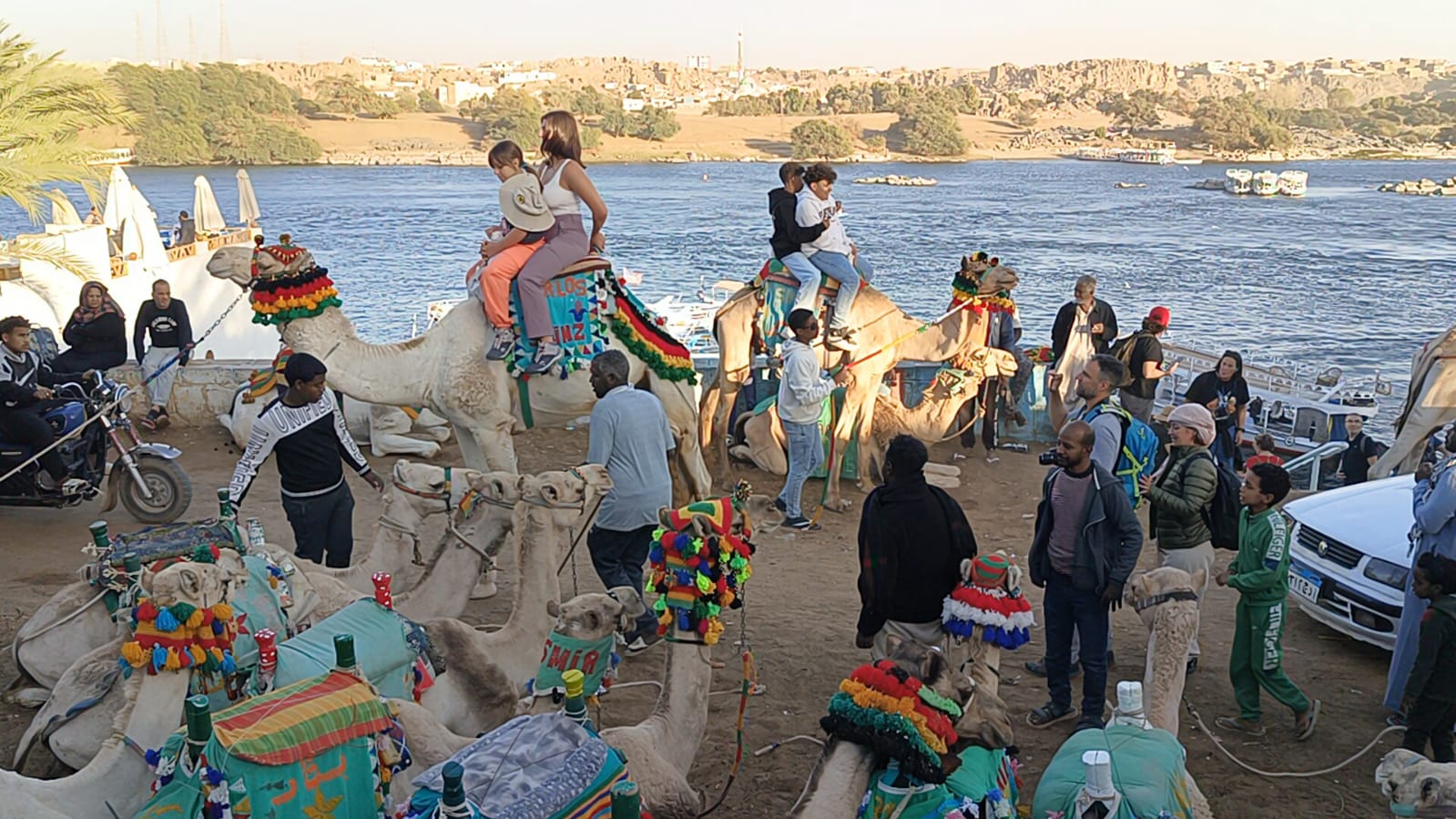 WhatsApp Image 2026 02 11 at 7.22.00 PM