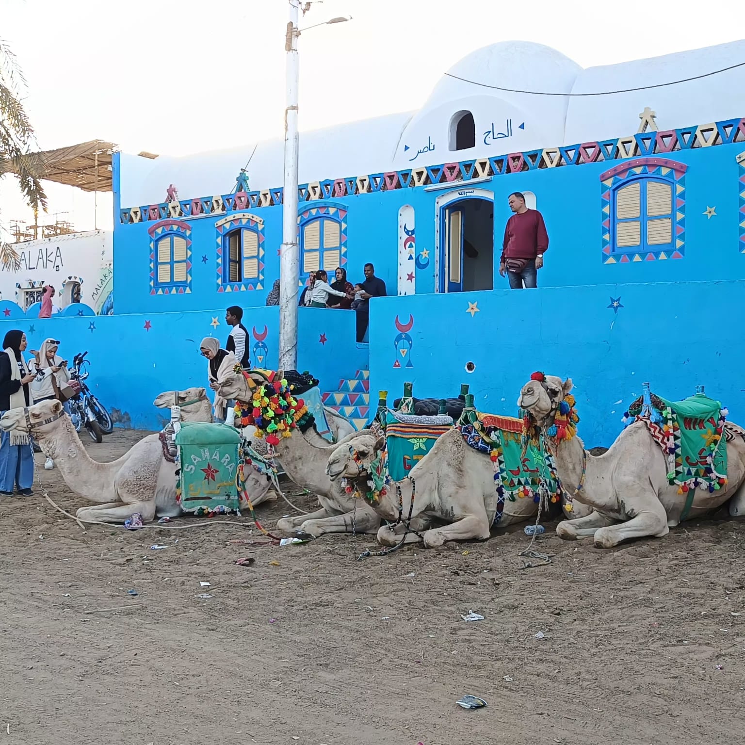 الجمال في قرية غرب سهيل.. تصوير: وفاء أمين