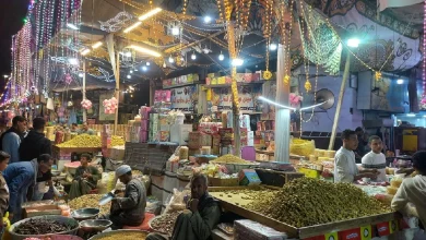 من احتفالات مولد أسد الصعيد بقنا.. تصوير: أسماء الشرقاوي