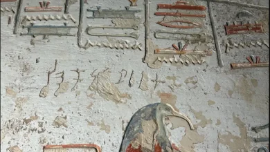 نقوش هندية تظهر كتابات لشخص يُدعى سيكاي كوران ترك اسمه 8 مرات في 5 قبور باللغة التاميلية مصدر الصورة إنجو ستراوخ وشارلوت شميد صحيفة the art newspaper