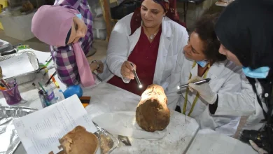 الدكتورة زينب حشيش، أستاذ الآثار المصرية القديمة المساعد بكلية الآداب جامعة بني سويف.. الصورة بواسطتها