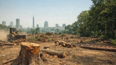 صورة تم توليدها بالذكاء الاصطناعي عن ظاهرة قطع الاشجار