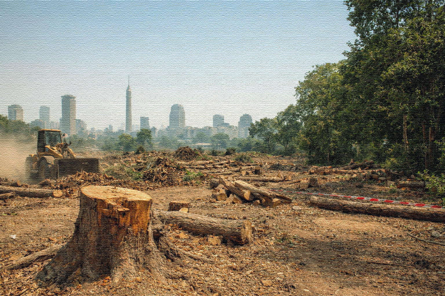 صورة تم توليدها بالذكاء الاصطناعي عن ظاهرة قطع الاشجار