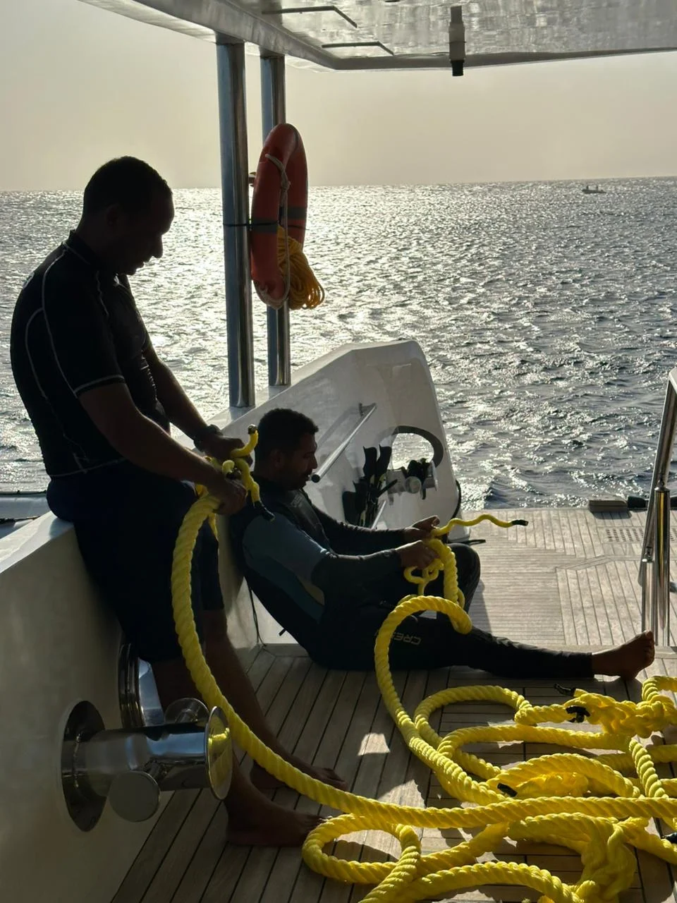 تركيب الشنمدروات في الجزر البعيدة البحر الأحمر.. الصورة من فريق الجمعية 