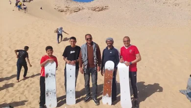 تجربة علاجية في الكثبان الرملية بمحمية الوادي الأسيوطي.. تصوير: جاسمين مهني