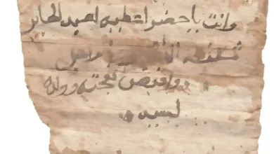 أمر الملك قشقاش.. حقوق الصورة M. Rekłajtis PCMA in Barański et al 2026