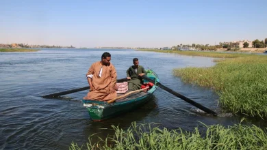 الصيد في الأقصر.. تصوير: أبوالحسن عبدالستار
