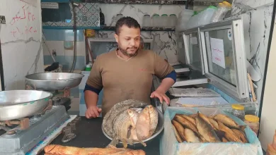 الفسيخ والرنجة وجبة تزاحم كحك العيد في أسيوط.. تصوير: جاسمين مهنى