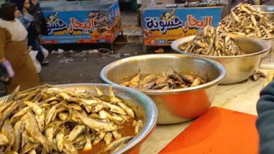 أنواع السردين في سوق الفسيخ بدمنهور.. تصوير: محمود دوير