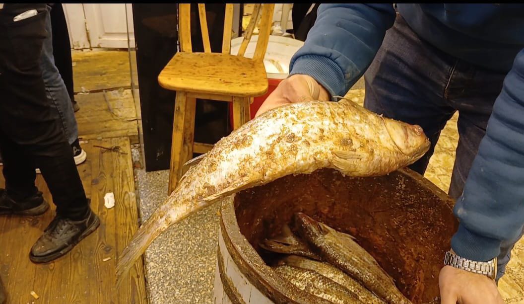 السمكة الحجم الكبير في سوق الفسيخ.. تصوير: محمود دوير