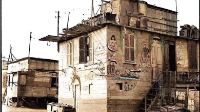 أقرب تخيل لبيت أم الفقير على بحيرة المنزلة - صورة أرشيفية