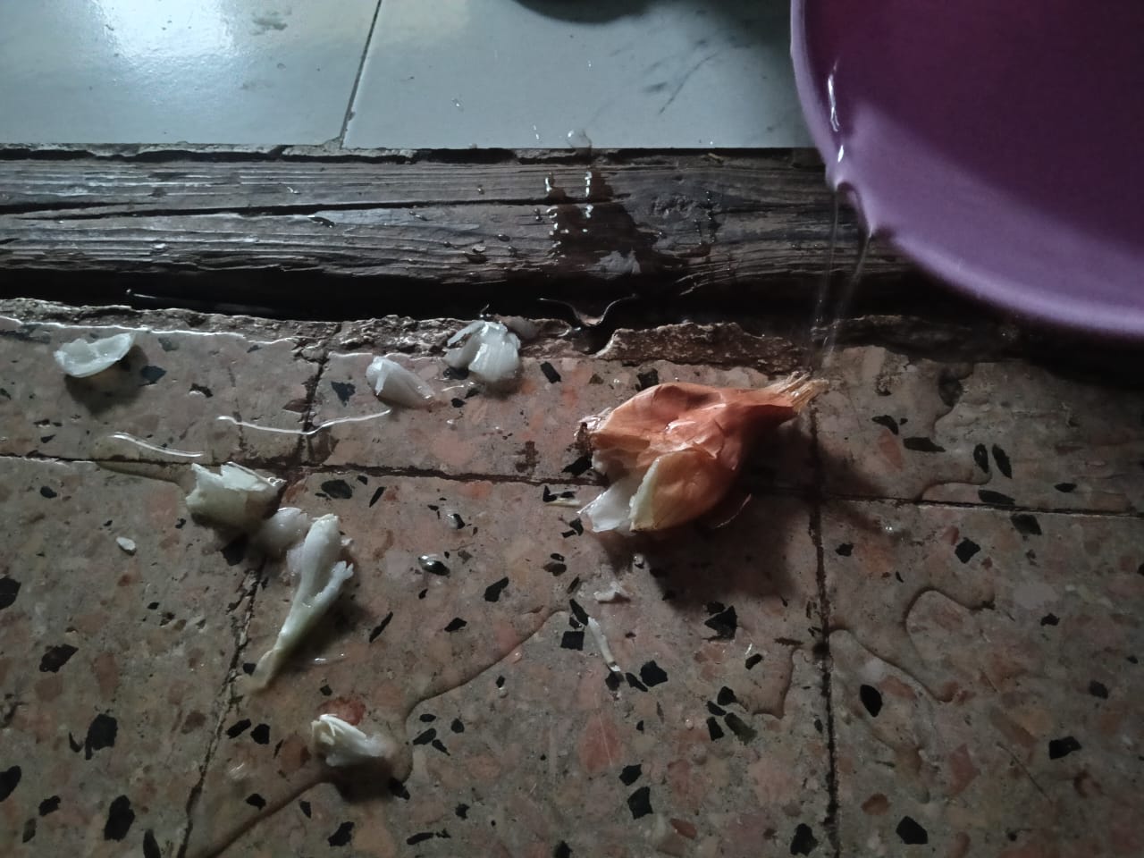 عادة دق البصل على الأبواب في شم النسيم.. تصوير: جاسمين مهني