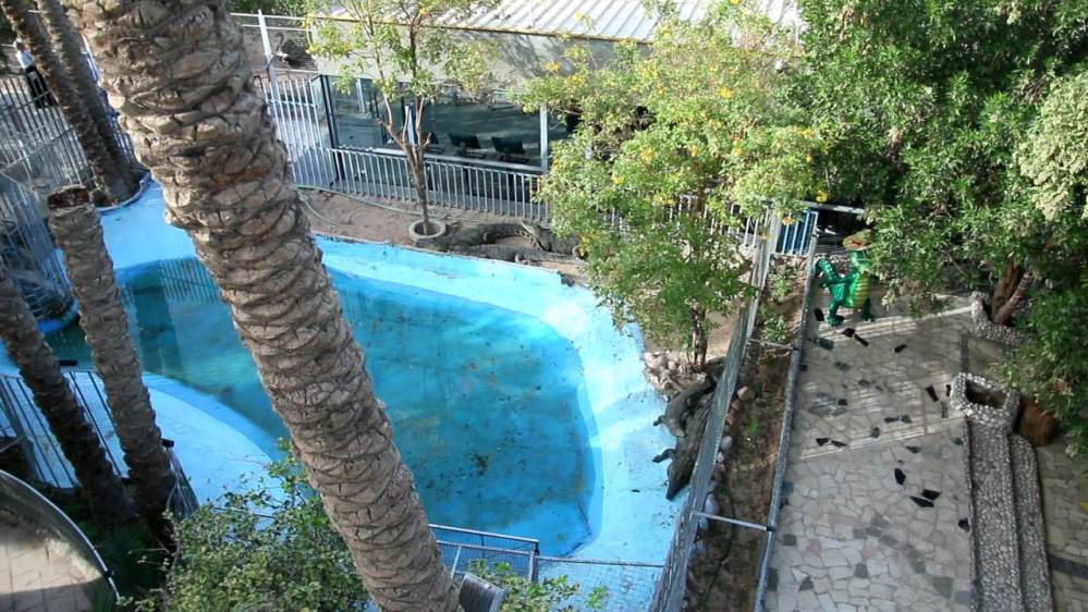 الحياة البرية بمتحف الأحياء المائية بالغردقة