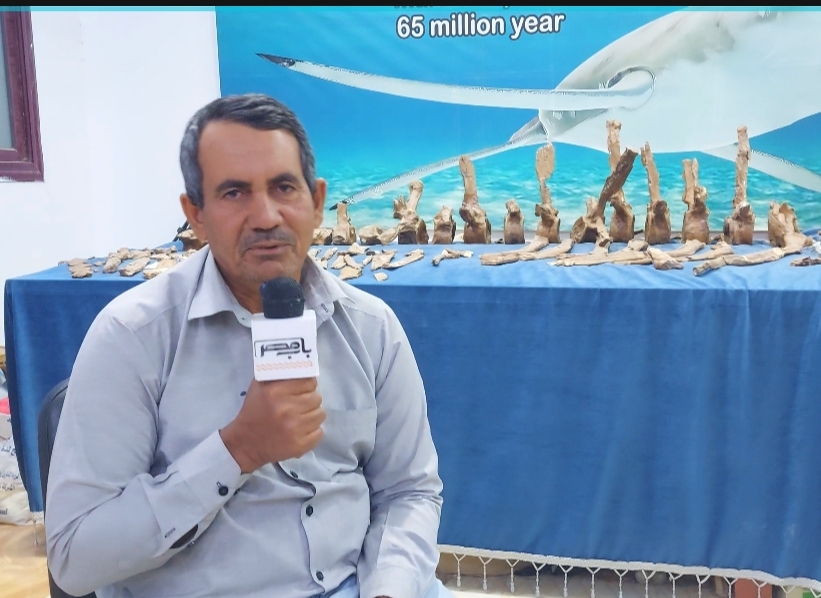 د.جبيلي عبدالمقصود أبو الخير أستاذ الحفريات بجامعة الوادي ومدير مركز الحفريات الفقارية بالجامعة.. تصوير: هدير محمود