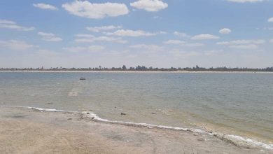 بحيرة نبع الحمرا بوادي النطرون.. تصوير: محمود دوير