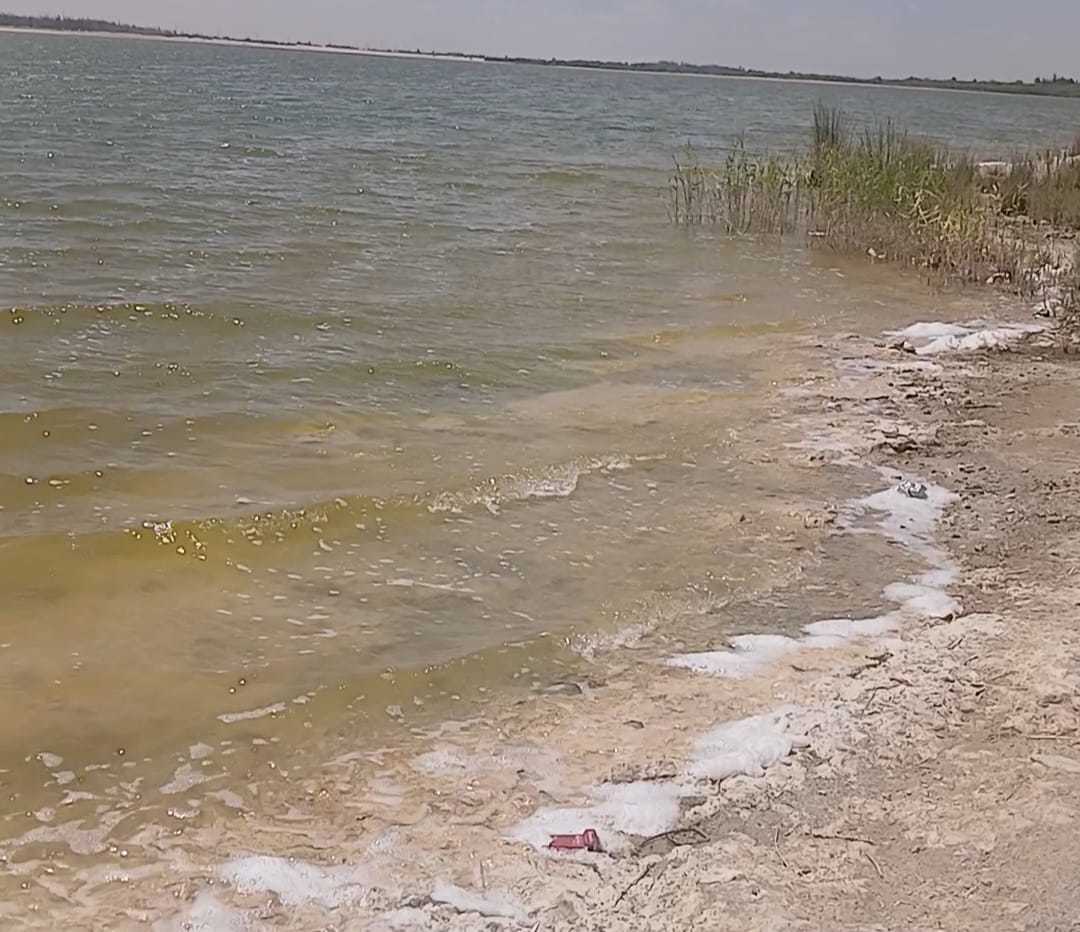 بحيرة نبع الحمرا.. تصوير: محمود دوير