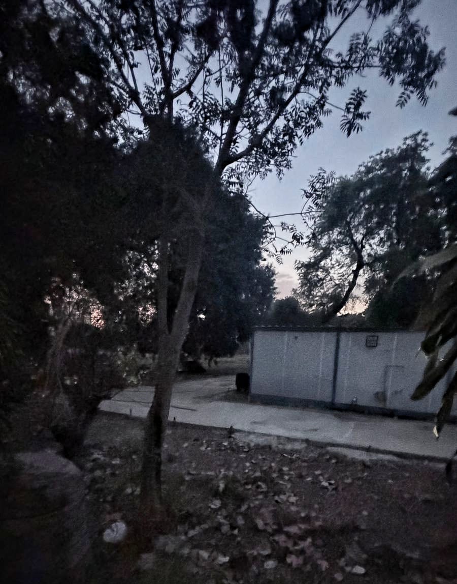 وضع الكرافانات داخل الحديقة.. تصوير: شهاب طارق