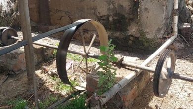 الكارينة في دمياط.. تصوير: حلمي ياسين